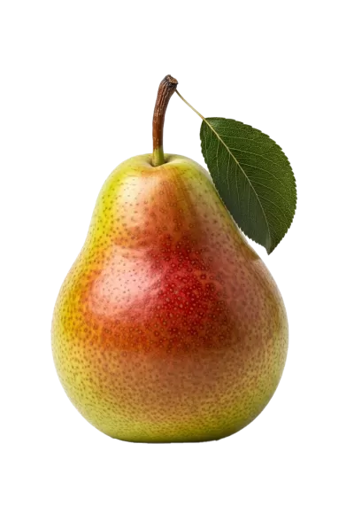 Imagen PNG para descargar